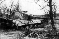 Tiger_2_tank_35