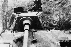 Tiger_2_tank_41
