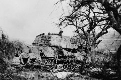 Tiger_2_tank_56
