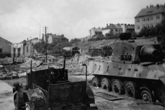 Tiger_2_tank_96
