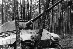 Tiger_2_tank_porsche_turret