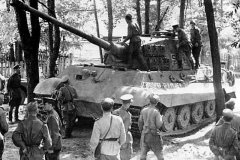 Tiger_2_tank_turret_number_502