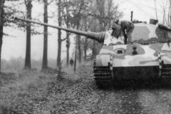 Tiger_Hinterhalt