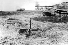 Tiger_II_501_311
