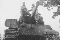 captured_Tiger_2