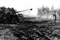 tiger_2_501_poland_44