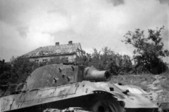 tiger_II_2