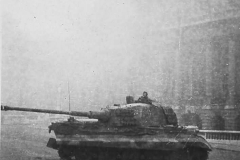 tiger_II_9