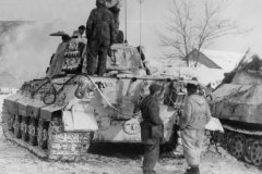 tiger_II_winter