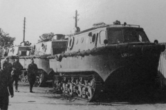 LWS_6