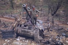 Marder-III-color