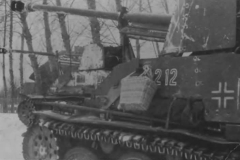 Marder_IID_212