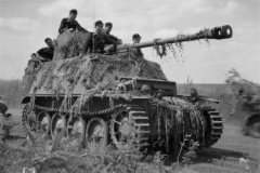 Marder_IID_front_view