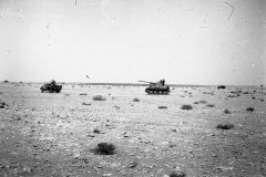 Marder_III_tank_destroyer_in_the_desert_DAK