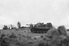Marder_II_2