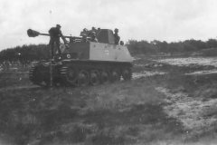 Marder_II_D_German_tank_destroyer