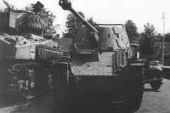 marder_2
