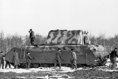 Maus_panzer