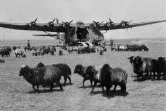 ME323-0011