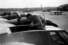 Me-323-Honig-1
