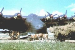 Me323-Color