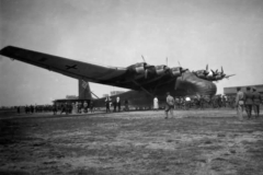 Me323