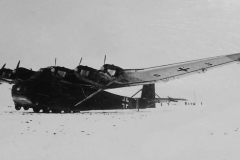 Me323_gigant_in_winter