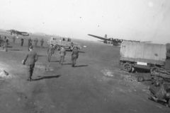 me323__Fern-Stuka-13