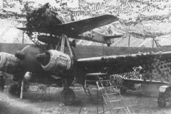 Mistel_2_Ju88_and_Fw_190