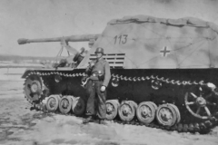Nashorn_113