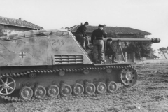 Nashorn_211_525_Italy
