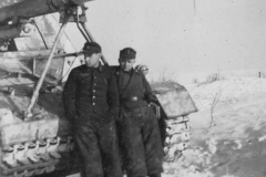 Nashorn_3