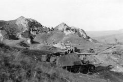 Nashorn_5