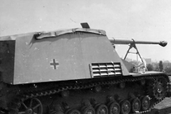 Nashorn_6