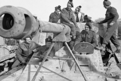 Nashorn_7