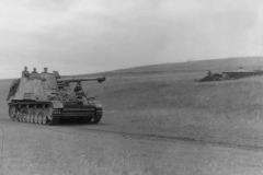 Nashorn_8