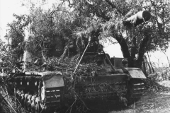 Nashorn_Italy_1944_2