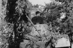 Nashorn_Italy_1944_3