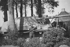 Nashorn_Wespe
