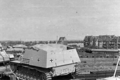 Nashorn_transport