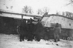 Nashorn_winter_camouflage