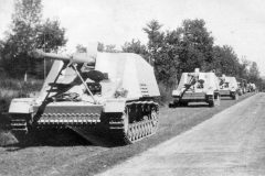 Nashorns