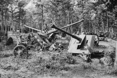 Captured_German_Pak_Guns_in_Rheims_France_1945