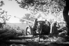 soviet_88_cm_Pak_43-41