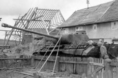 Abandoned_Panther_Ausf_D-