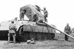 Destroyed_Panther_Russia