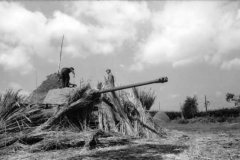 German_Panther_tank_Italy_1944_2