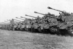 Panther_116div