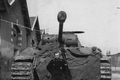 Panther_14