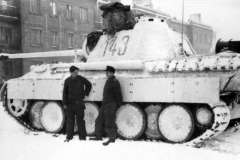 Panther_143